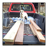 Bluesy Supervises Loading of TreeHugger Lumber