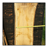 Measuring TreeHugger Lumber for Cutting